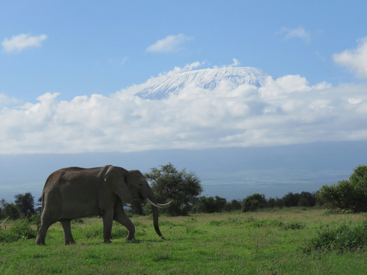 3 Days Amboseli National Park Safari
